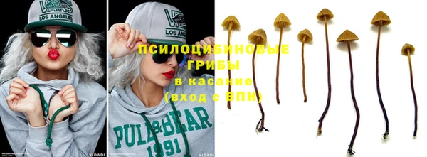 дмт Абинск